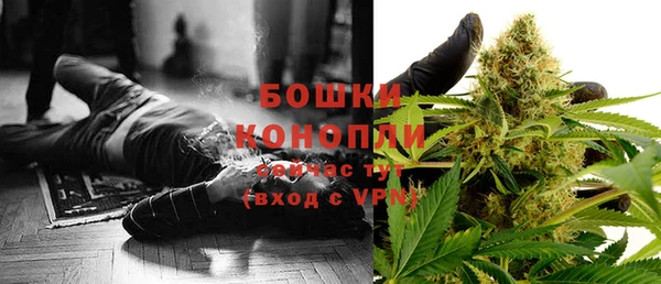 прущие крисы Верея